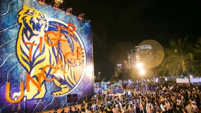 Dự Án Thi Công Bức Tường Tiger Xuyên Việt Với Hệ Kết Cấu Thép Mô-Đun