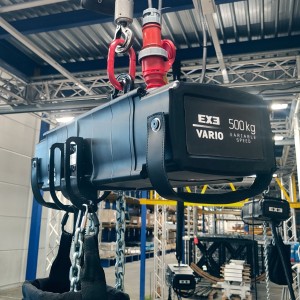 Palang lập trình EXE 500 kg Vario Variable Speed Chain Hoist D8